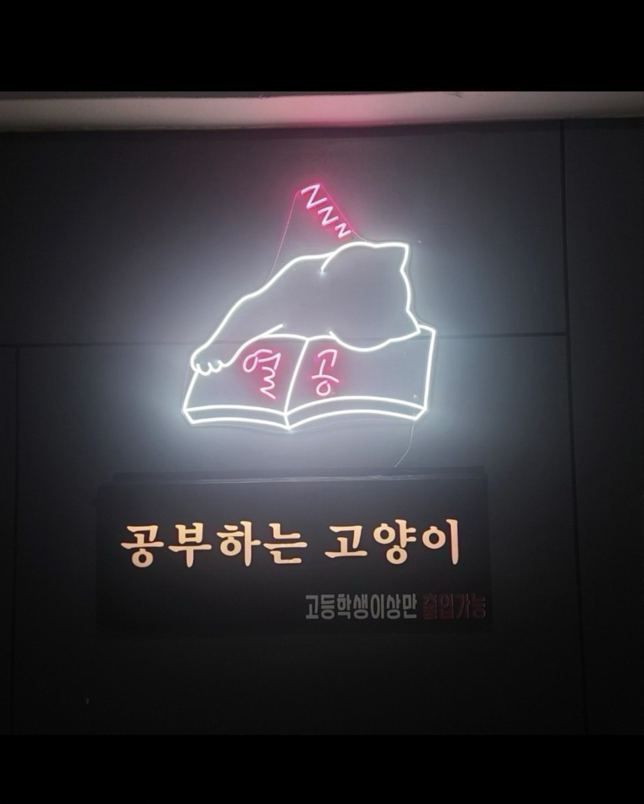 공부하 냐~고