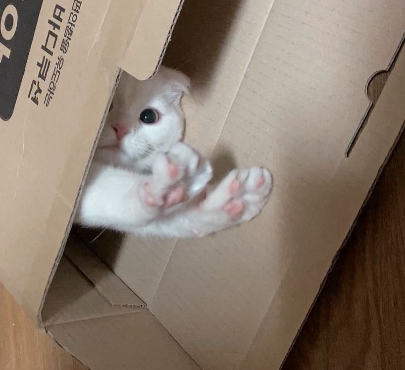 오랜만이지 ?