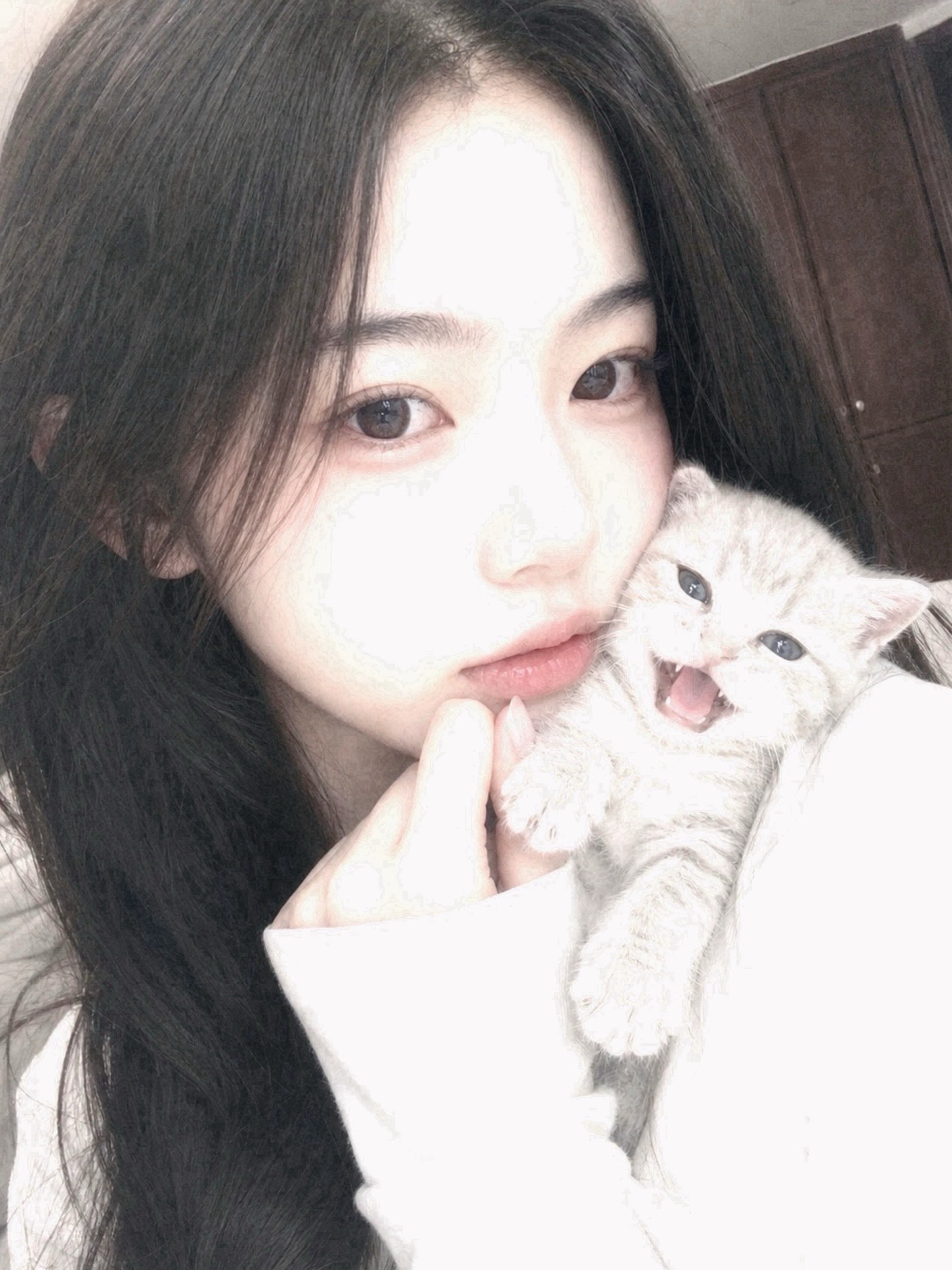 사랑은 ⸝