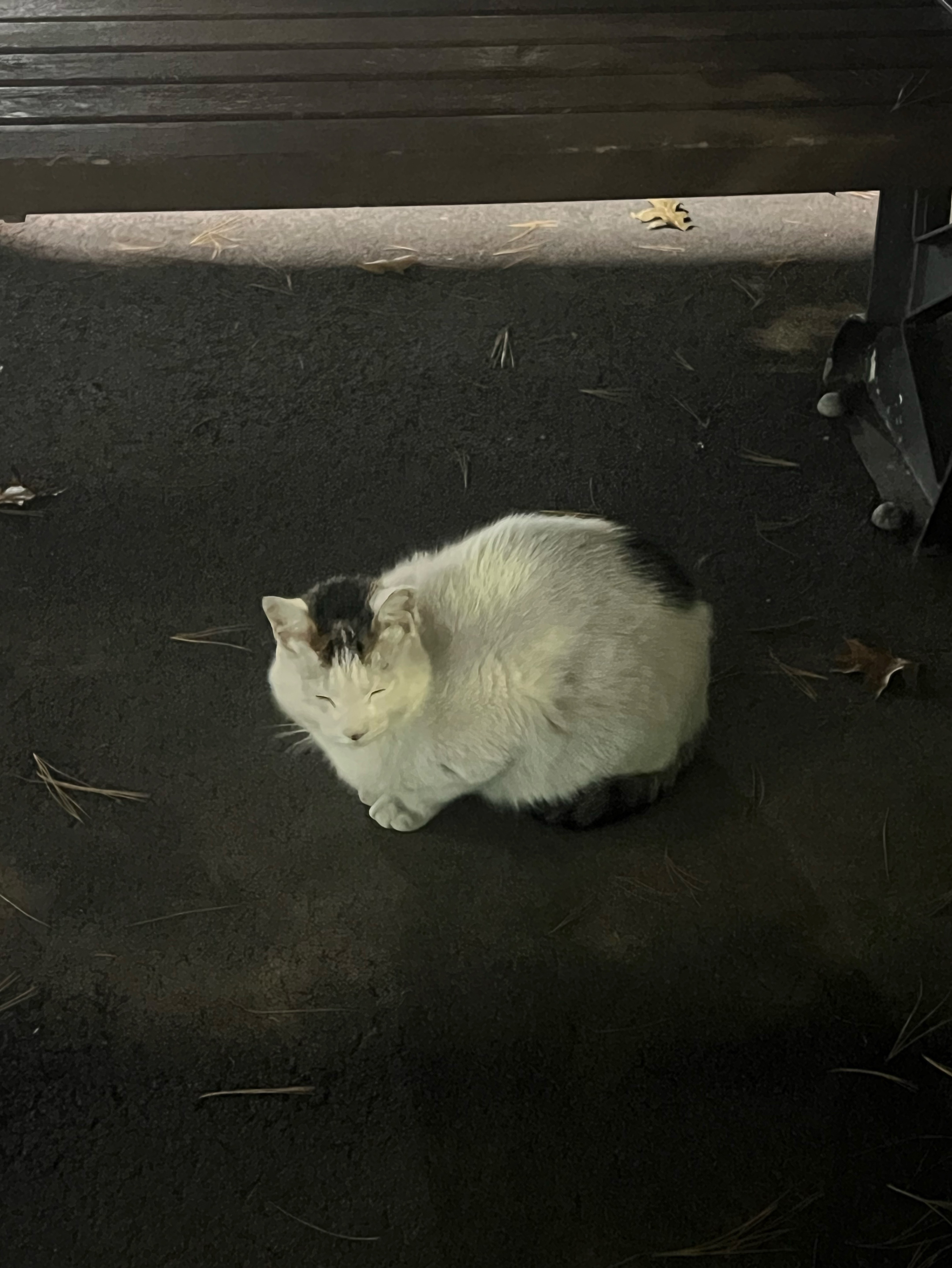 밤낮 바꾸기 2