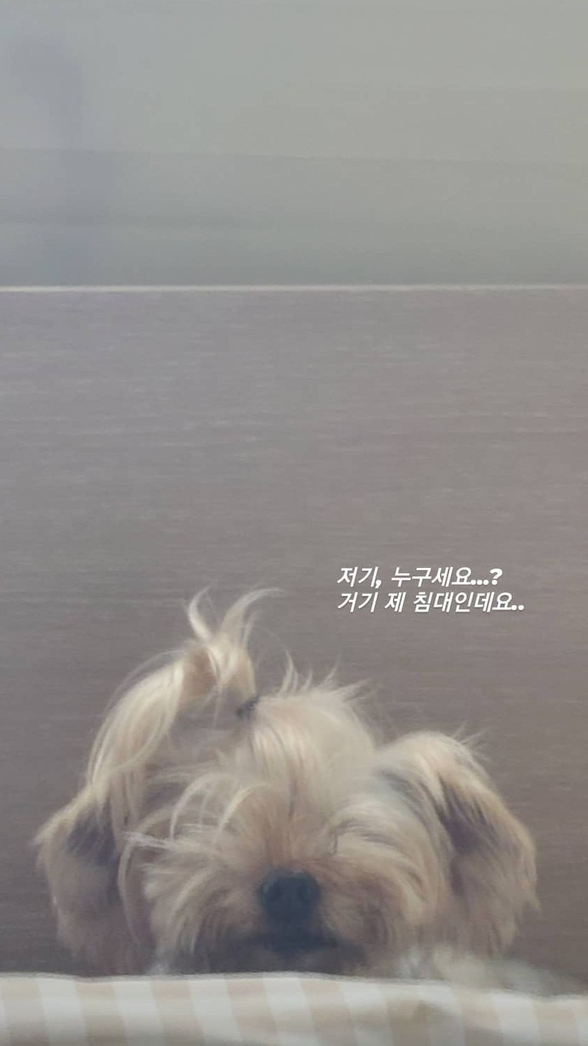 30+) 아유 이게뭐람!