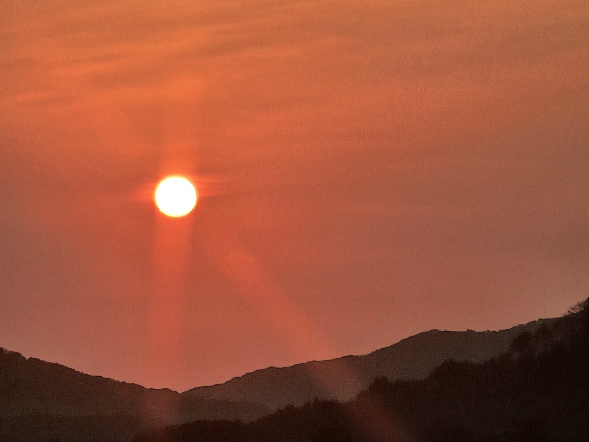 산책과 생각