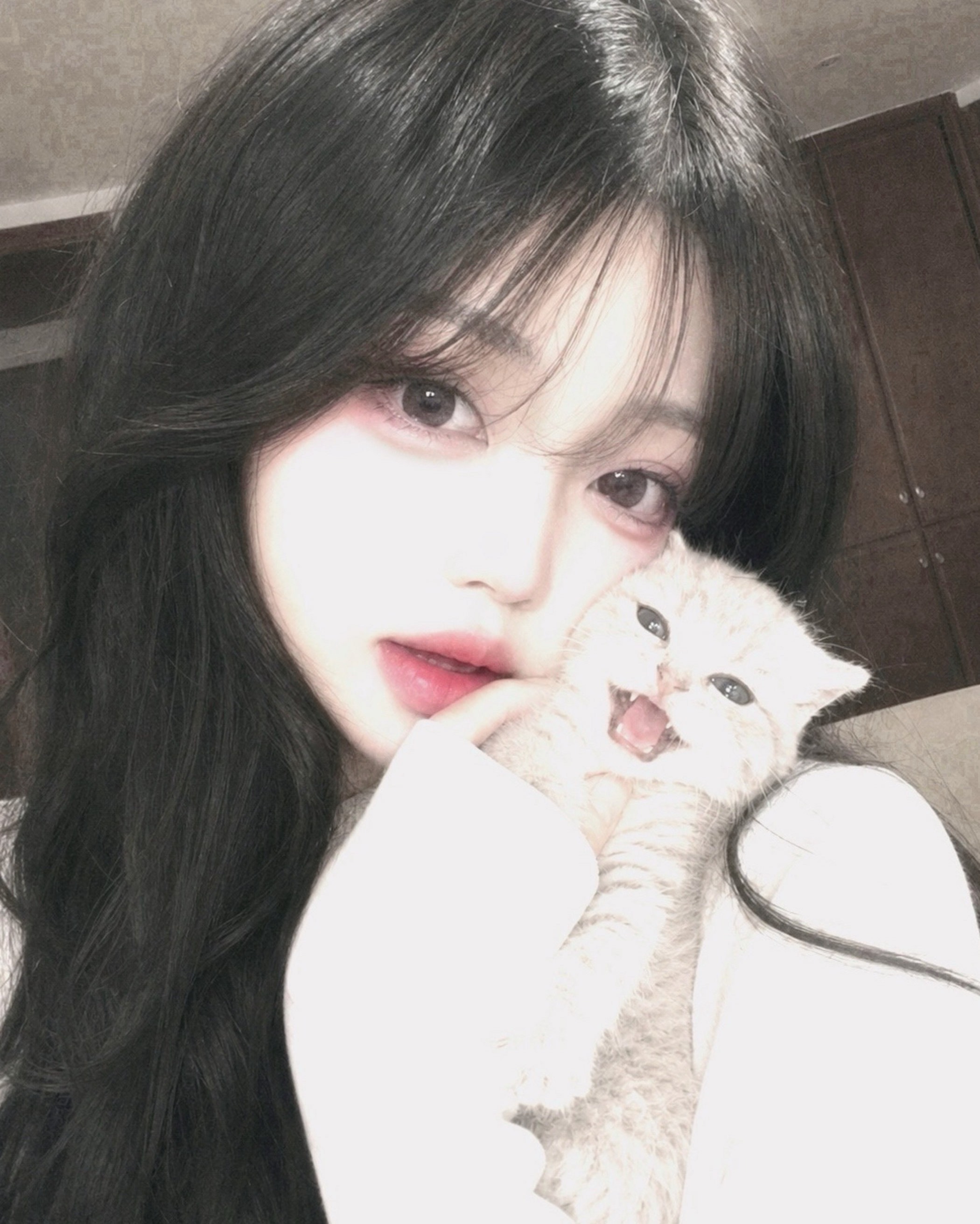 ㅎㅇㅎㅇ
