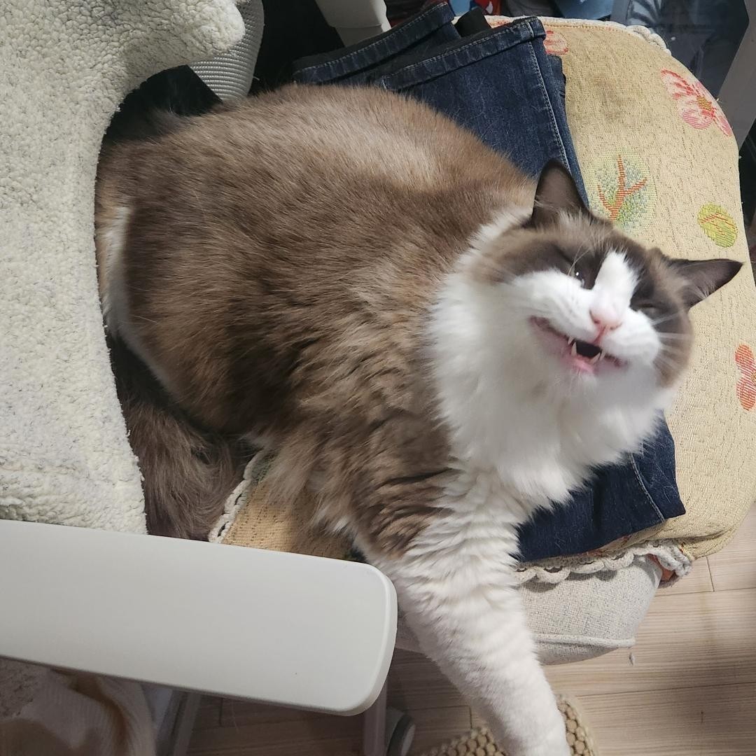 09) 친구 할래요?