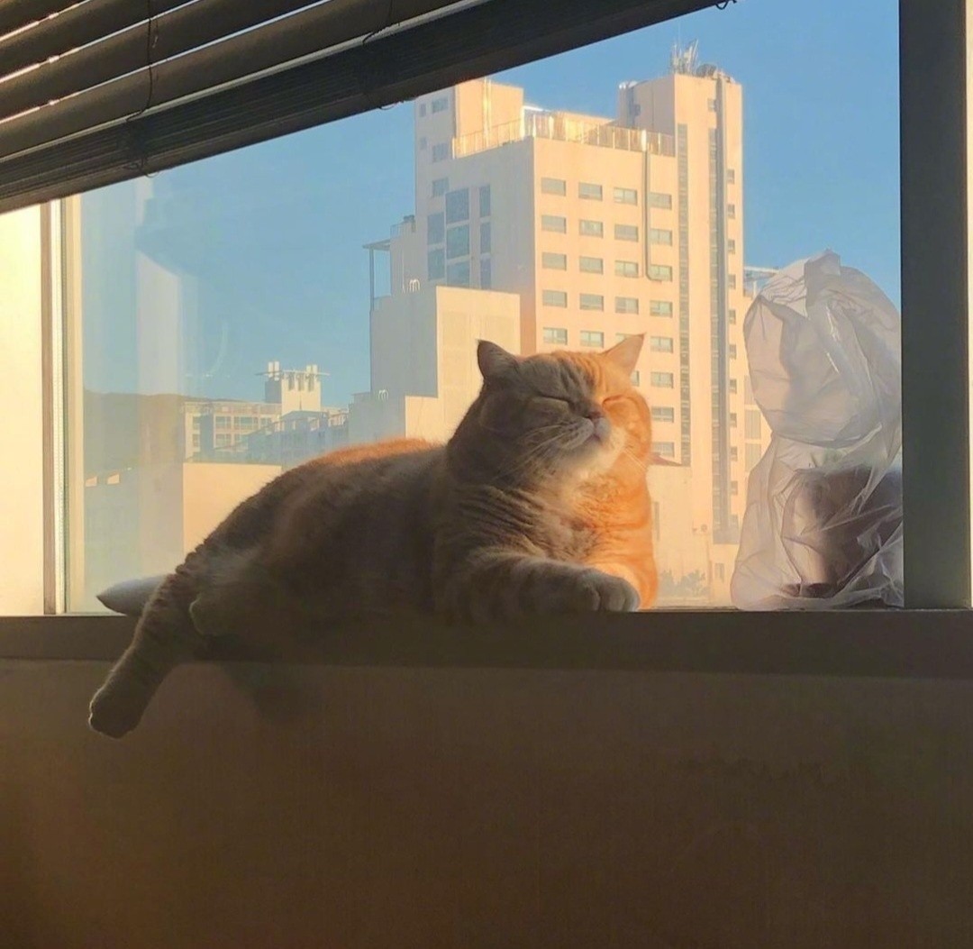 들 어 봐 요   ,