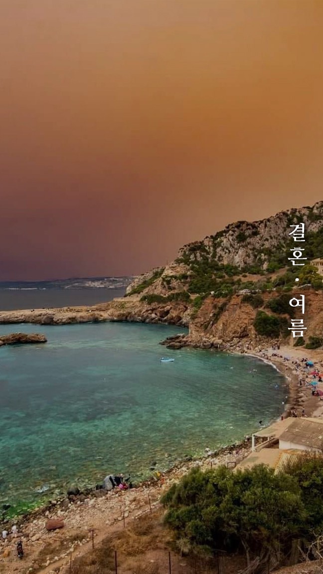 묘운☁️°⊹ 뜻밖의 서점 📖
