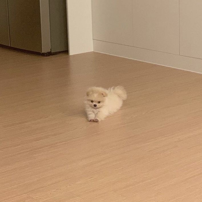아 - 나른하다 ~ ˚⋆