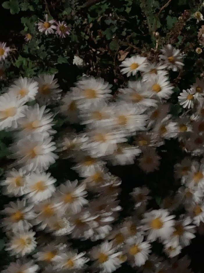 내가 좋아하는 음악들