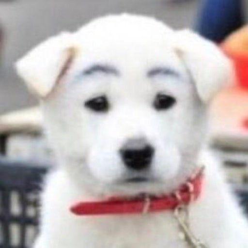 사라진 내 방송을 차ㅈ아서