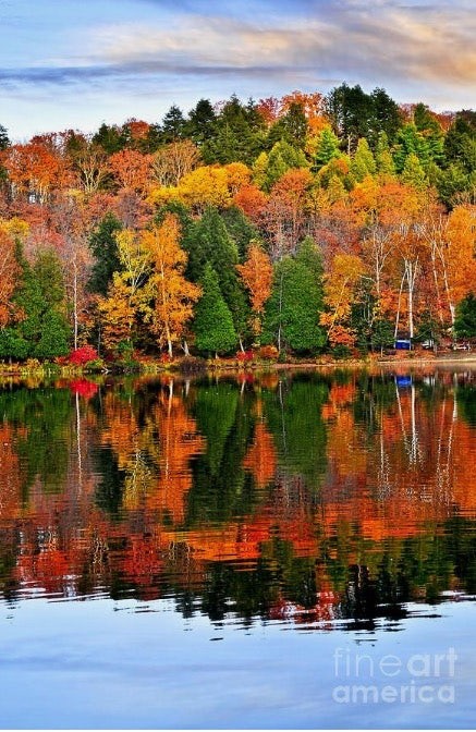 11월20일 목요일 🎧신청곡방송