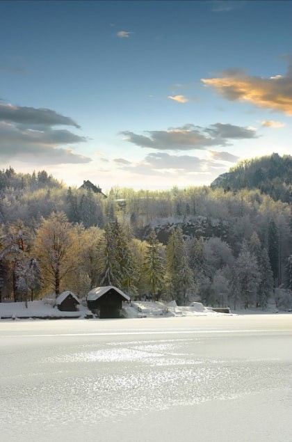 12월17일 수요일 🎧신청곡방송