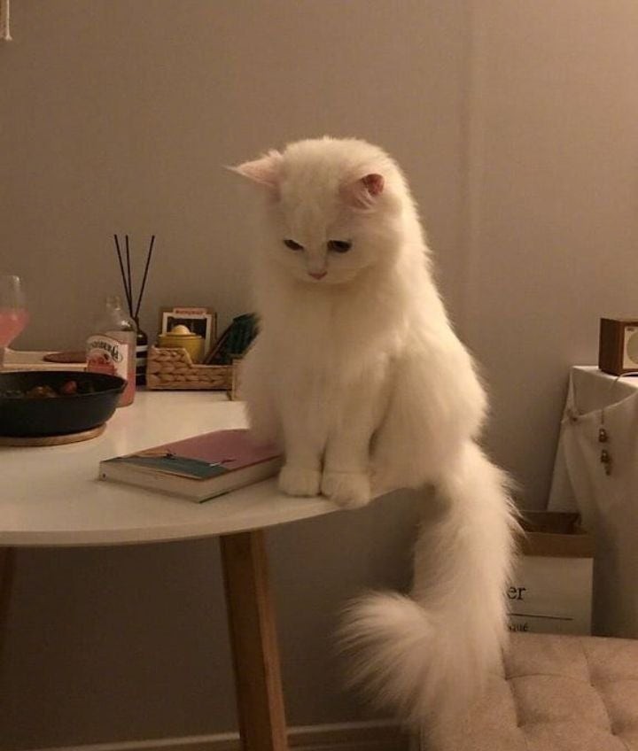 🧊 여길 오신다구요?