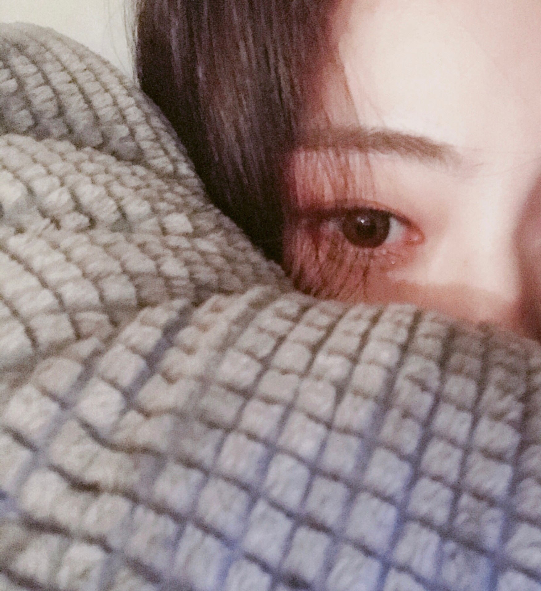 ⠀⠀⠀pianorae