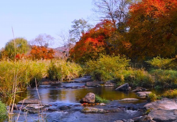 사주초보기본무료 운10스푼(타로10