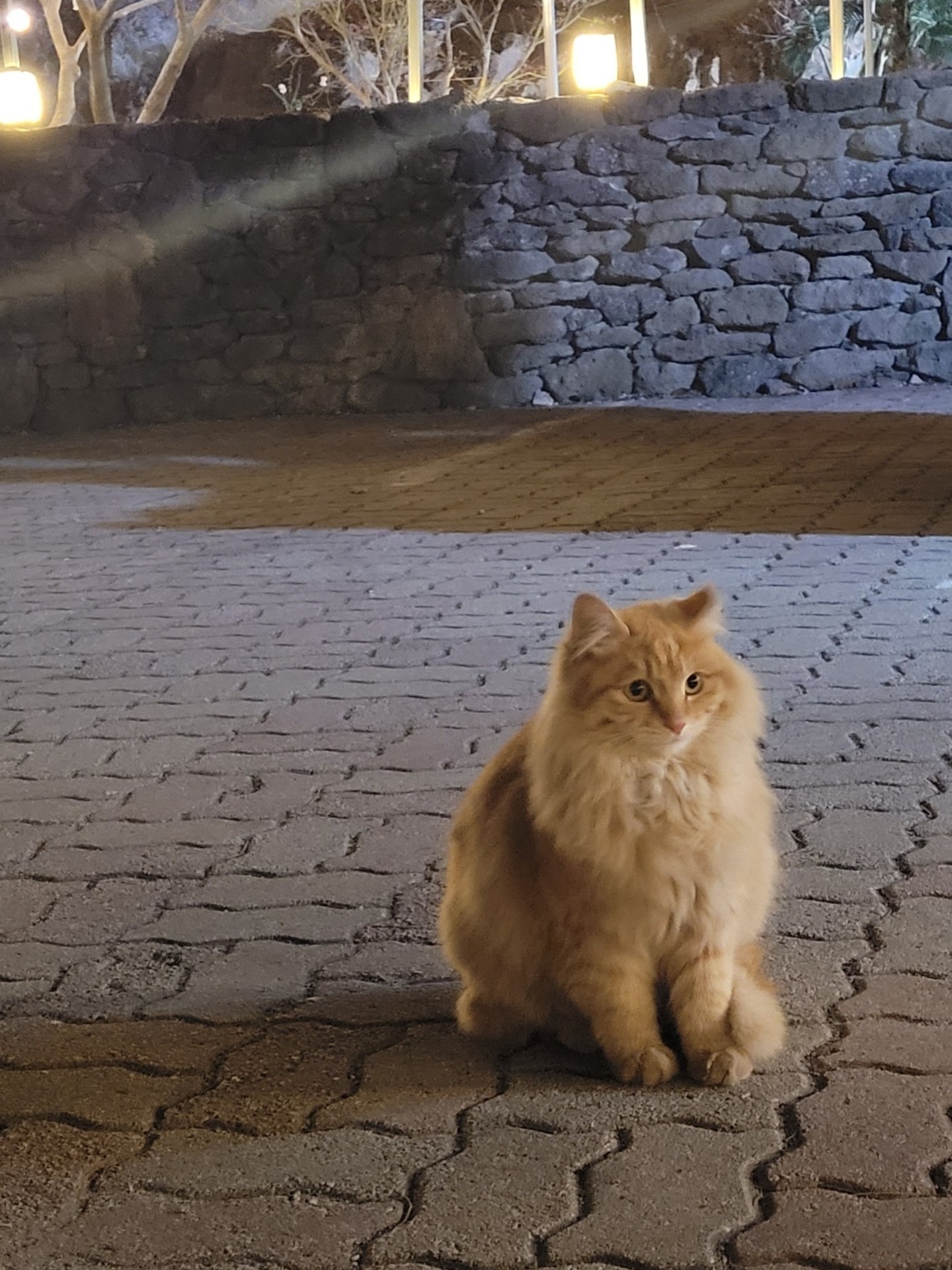 나름 괜찮던 화요일