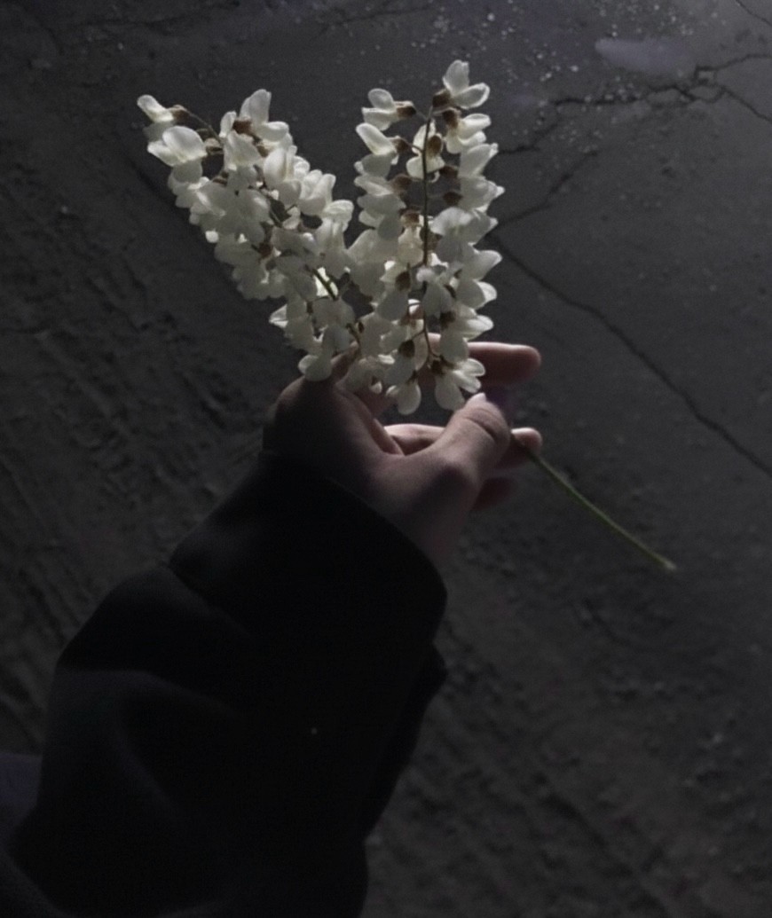 잠들기 아쉬운 밤