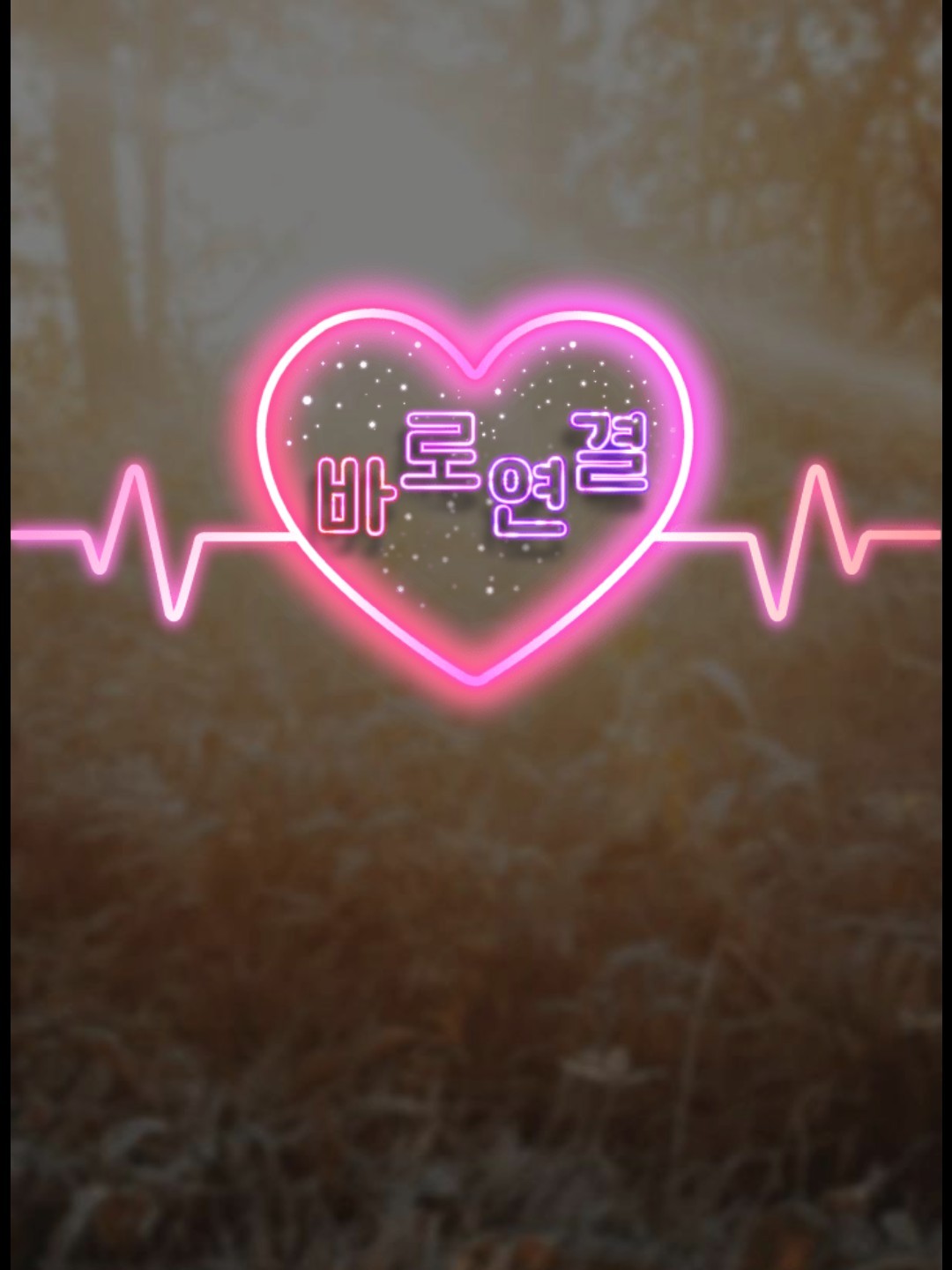 늦은 밤 적당한 수다