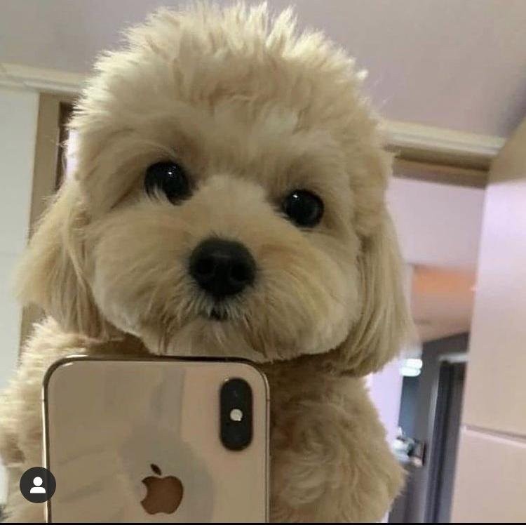 이건다음번방송