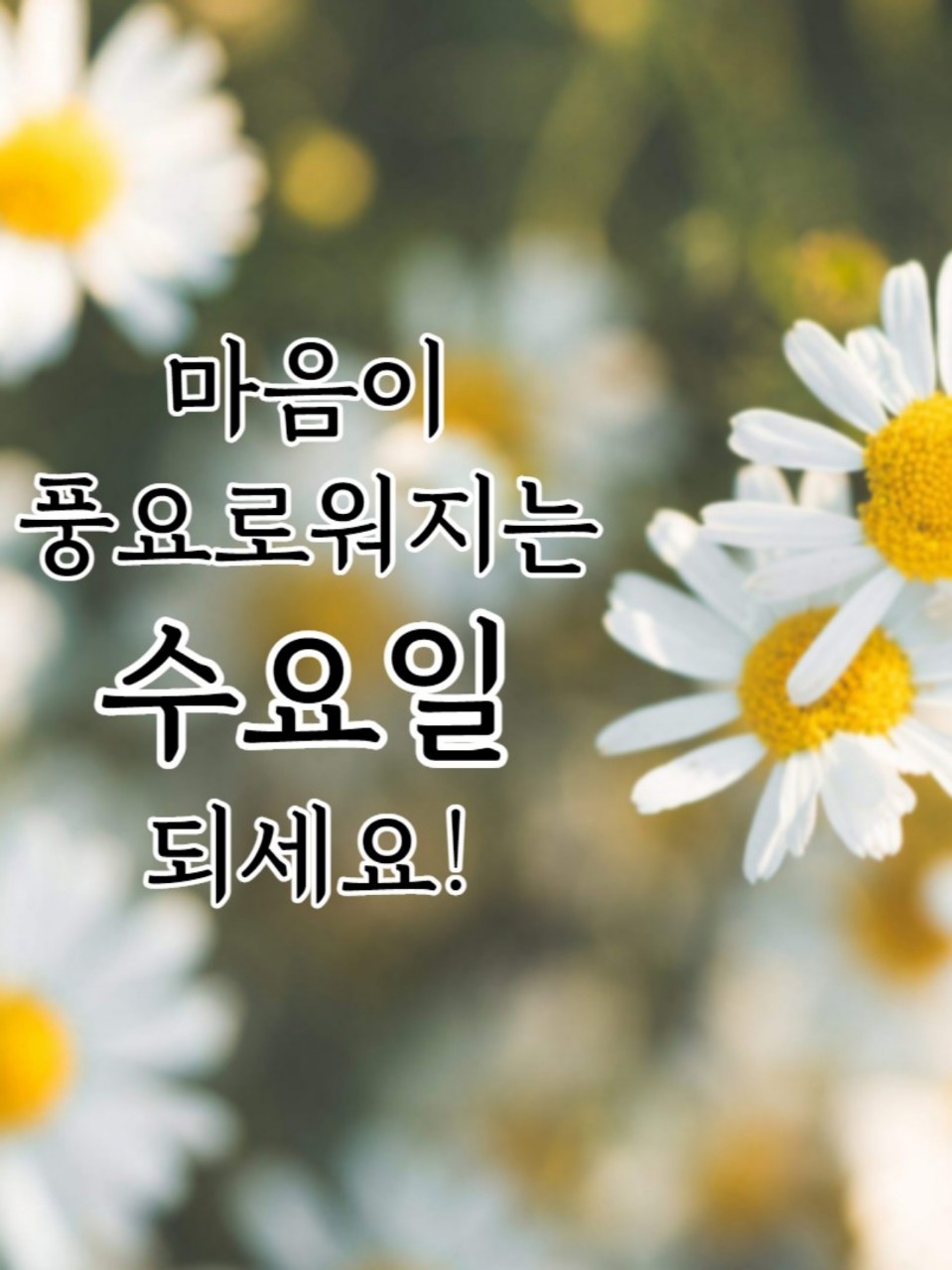 스푼 캐스트 | DJ 🌷Angel Song🎵CCM⚘️님의 🎵행복한수요일오후 엔젤송CCM🎵
