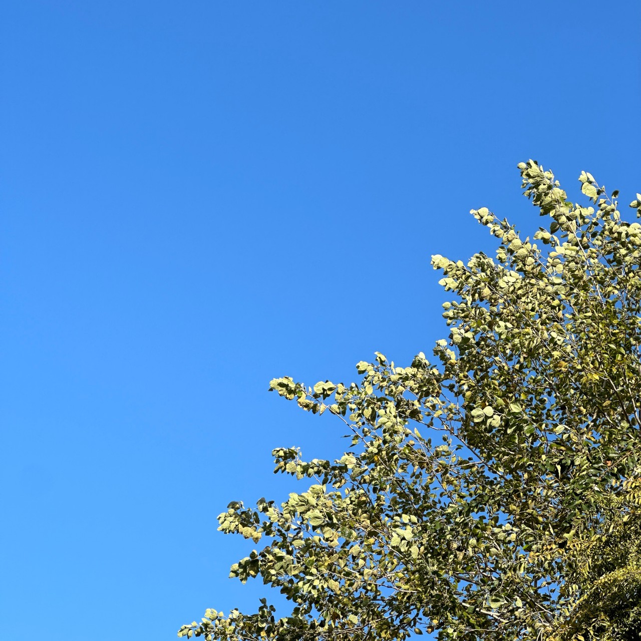 항공오빠와 불꽃놀이 ♥ 1005