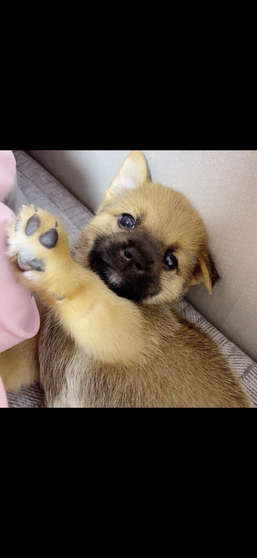 스킨로션세럼크림에센스