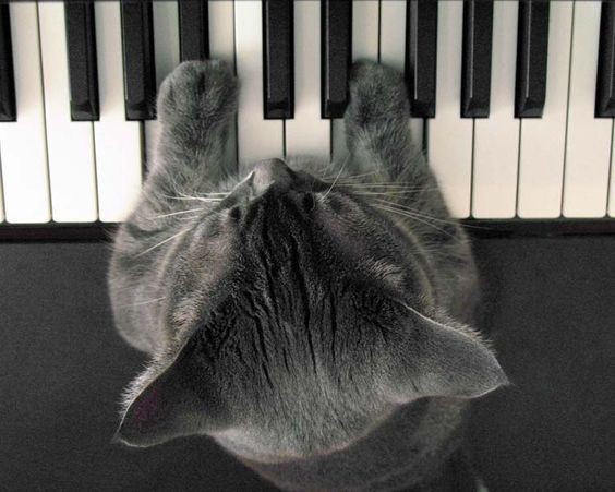 피아노피아노피아노피아노피아노피아노