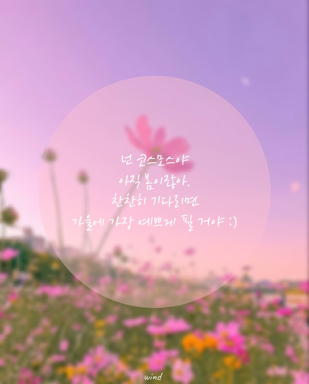 🌃달밤_ 잔잔하게