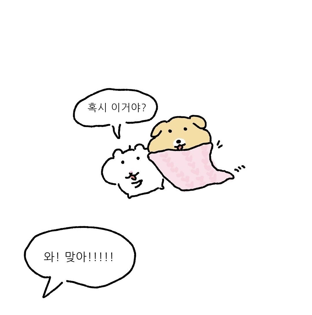 뮤롤이의 산책 방송🐈✨️