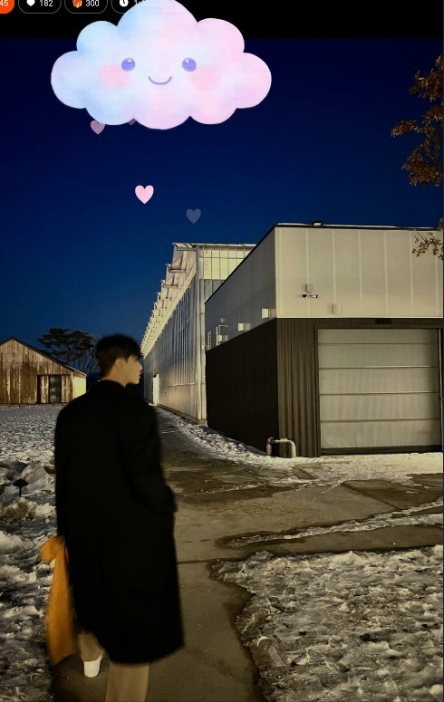 나무의 위로🎧