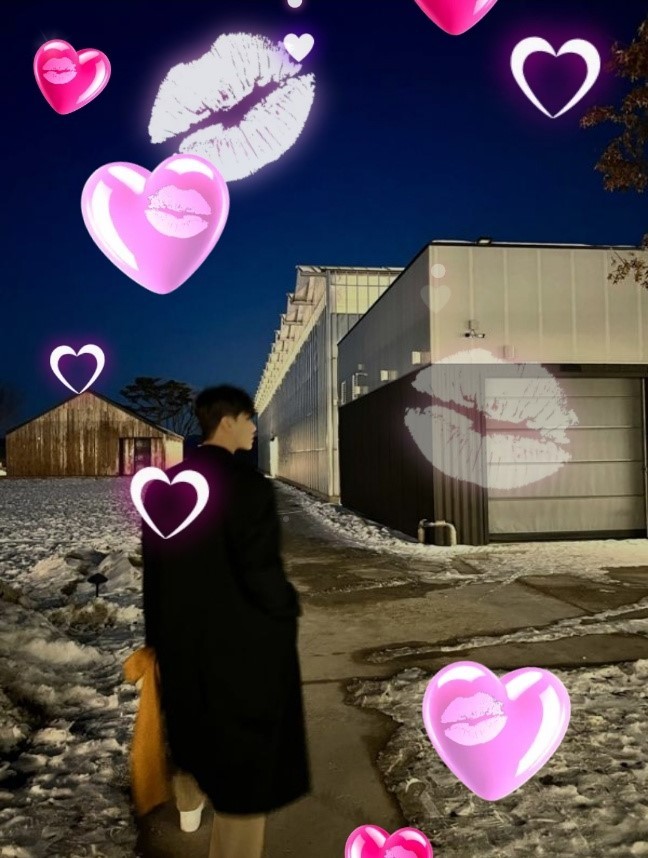 나무의 위로🎧