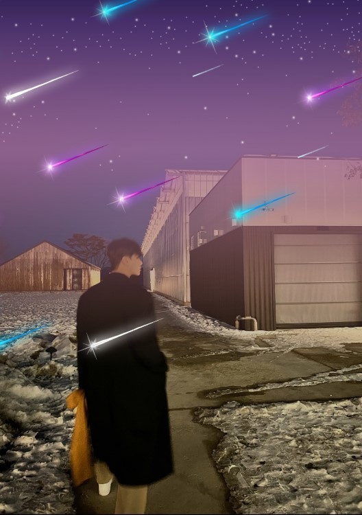 나무의 위로🎧