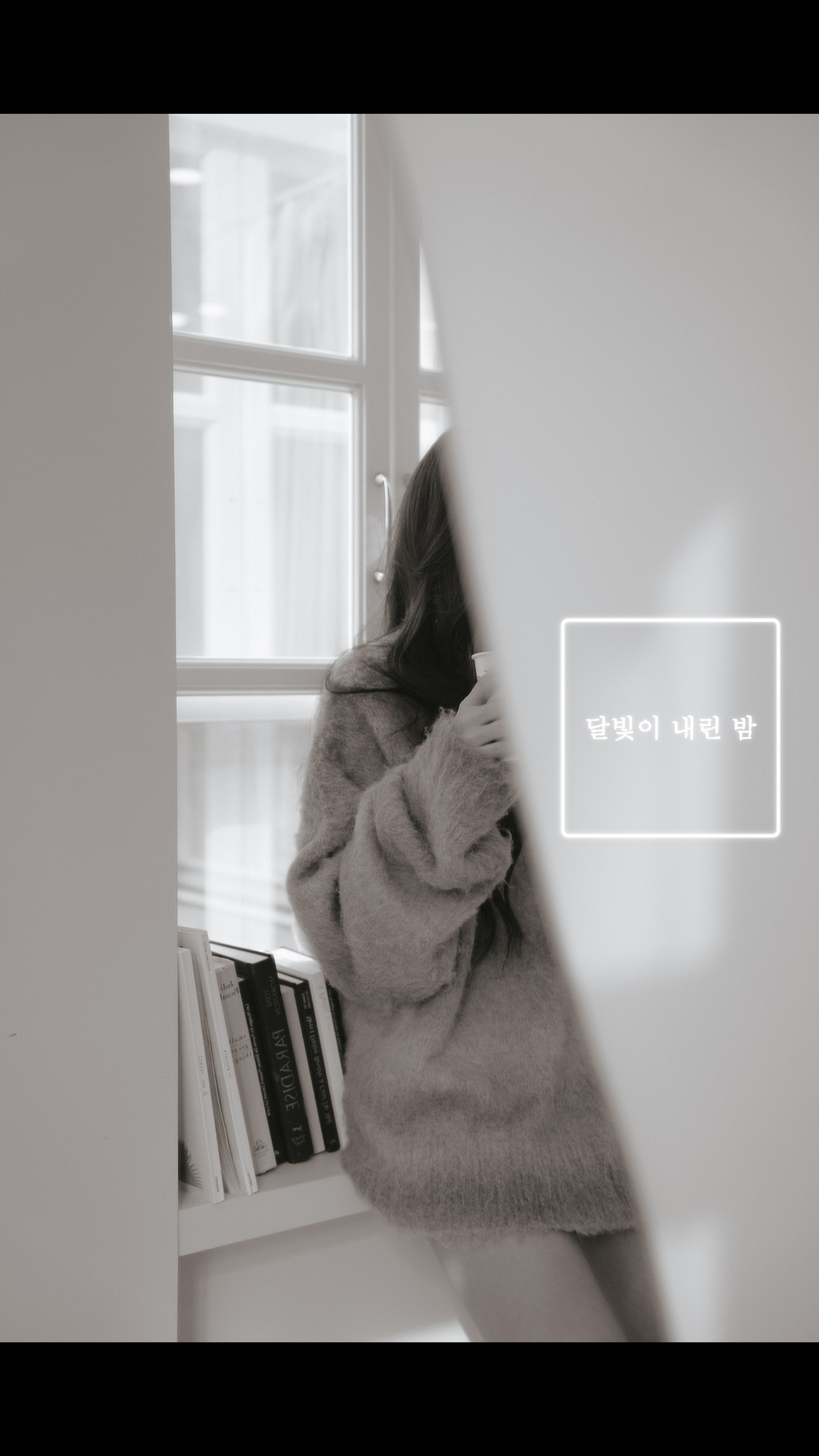 달빛이 내린 밤