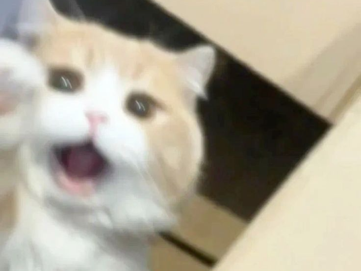 무서운거 시청중