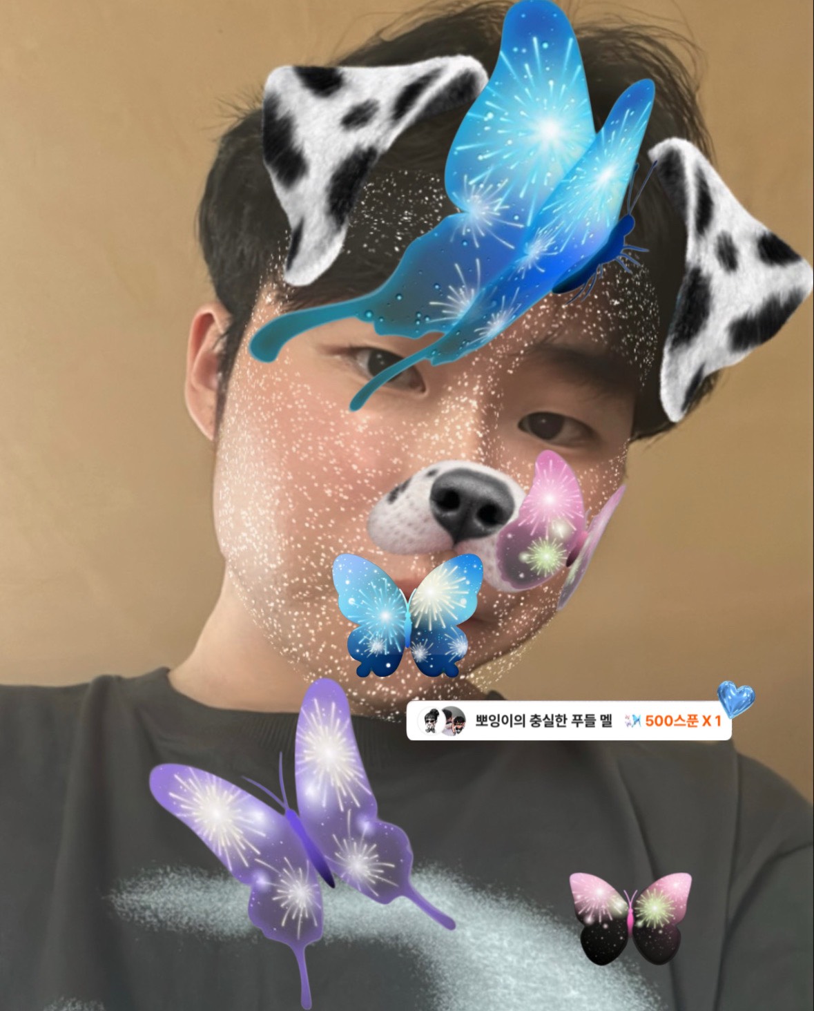 ✨ 몇 번의 아쉬운 만남 ✨