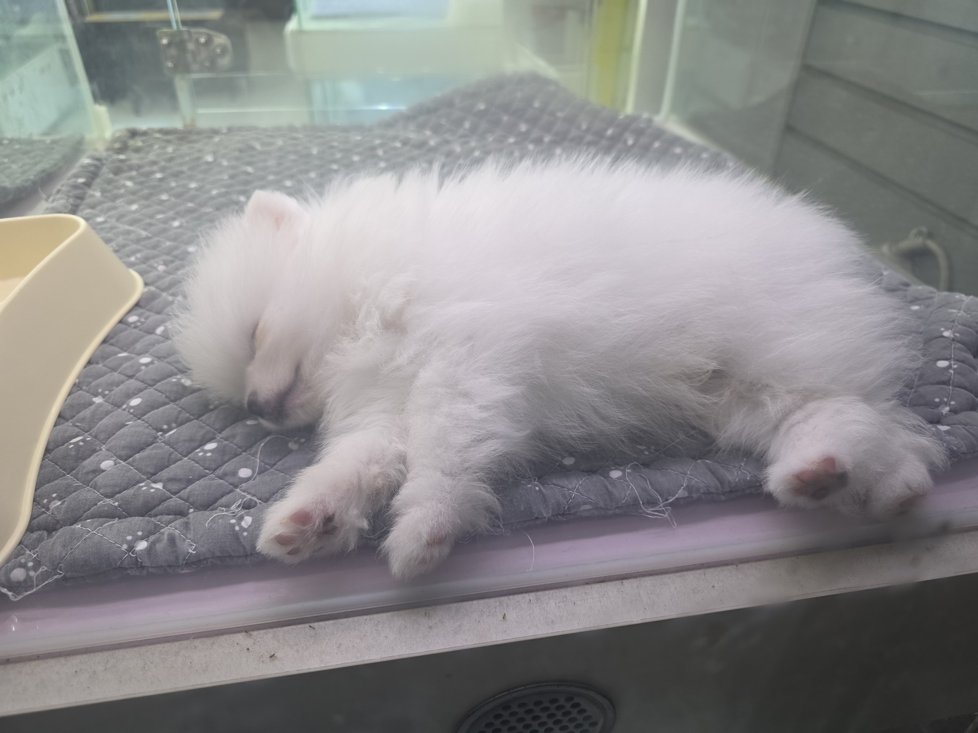 러닝 이야기중