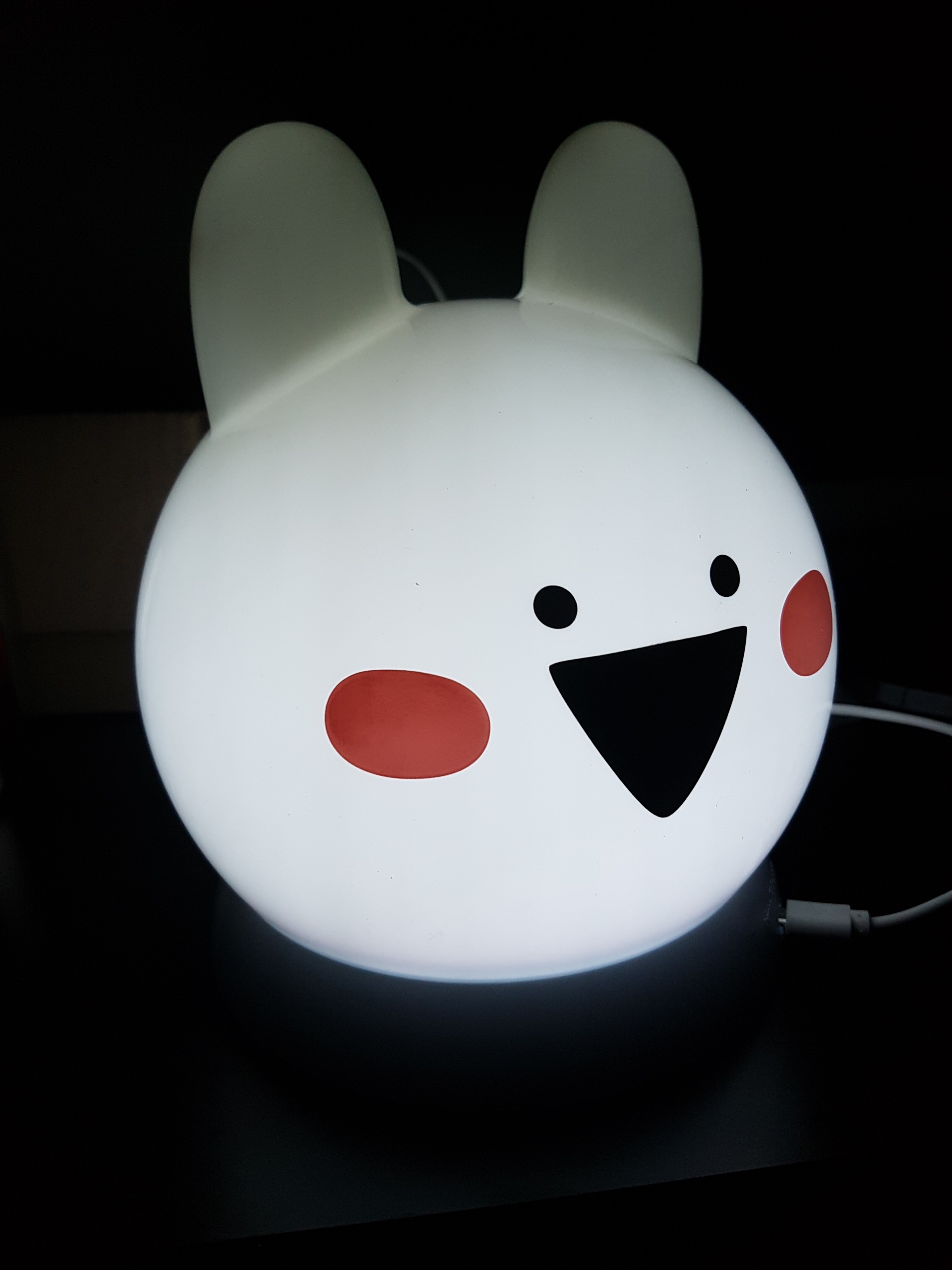 세상은 요지경🤸‍♀️