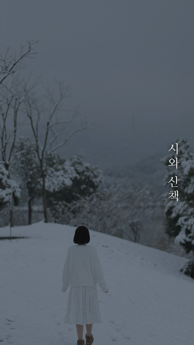 묘운☁️°⊹ 뜻밖의 서점📖 시와 산책 3