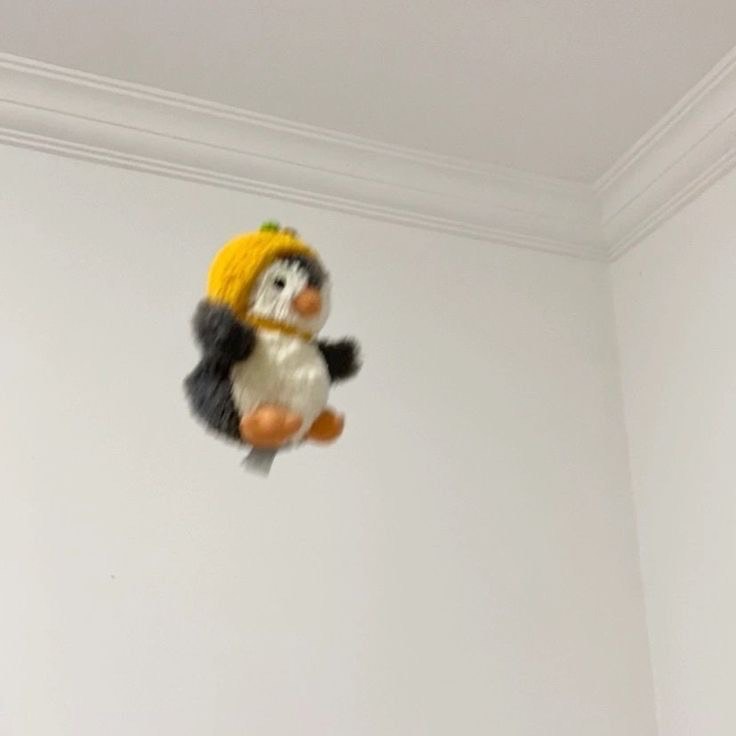 잠방하자