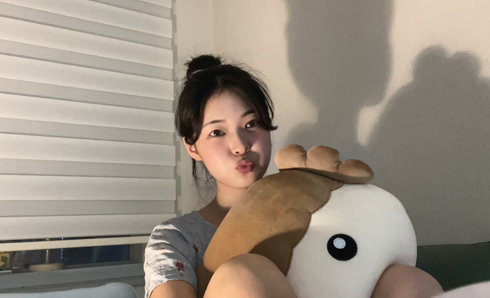 실드단 구합니다. 급함.