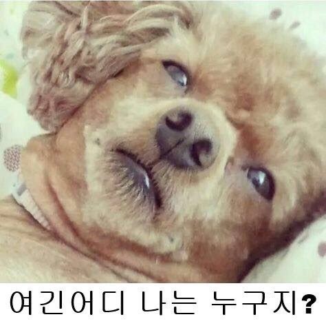 🔥남자 그득그득,,,소개팅🔥