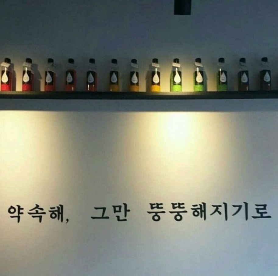 뚱녀 구해요