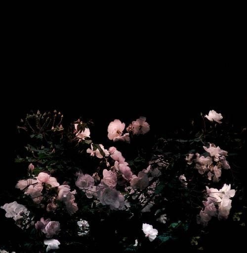 =͟͟͞͞♡