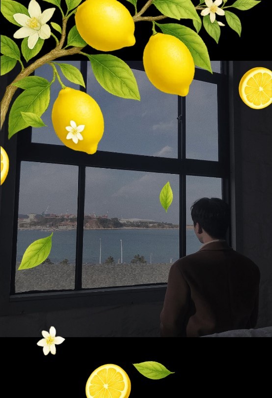 나무의 조금 늦은 위로🎧 2.0