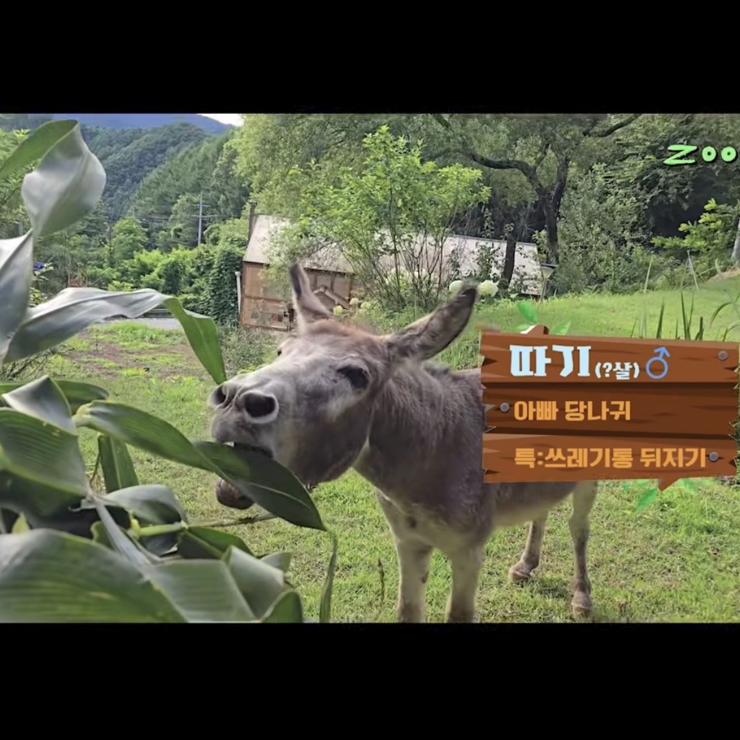 # 마 감 ,