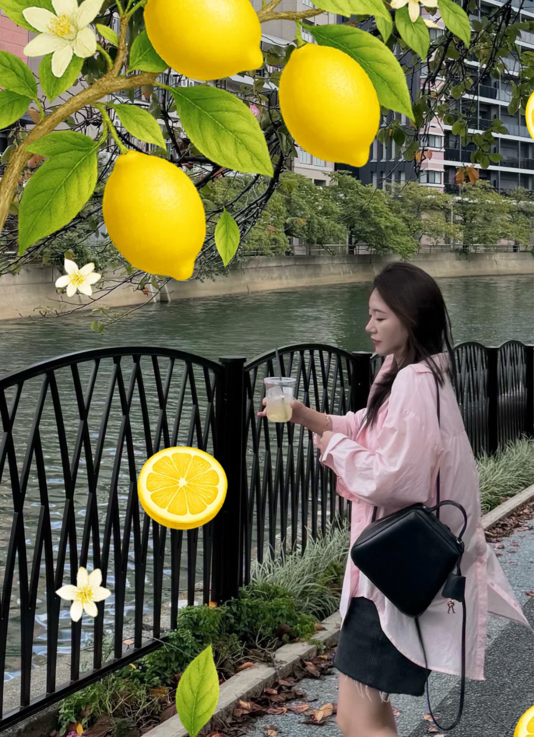 노 래 라 이 브