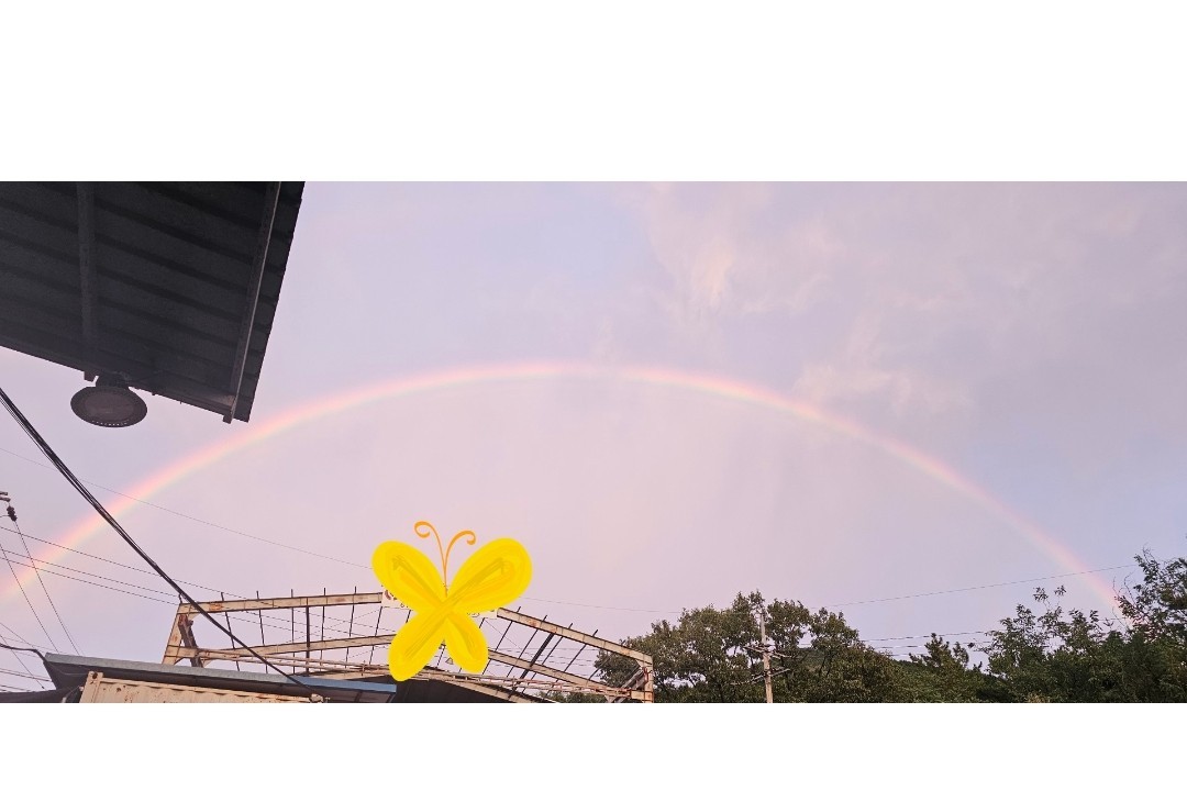 나 너 좋아하네...☆