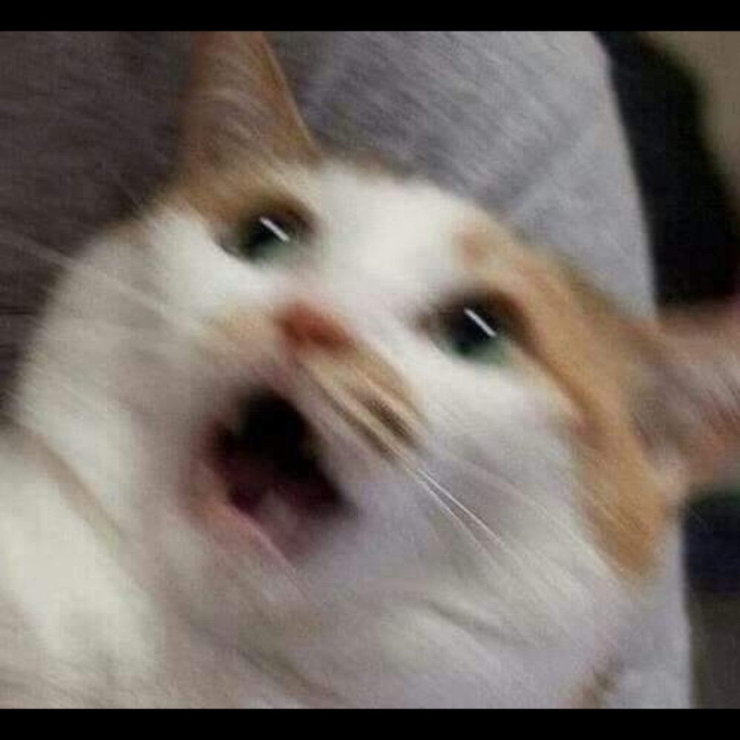 령안하세요 ?