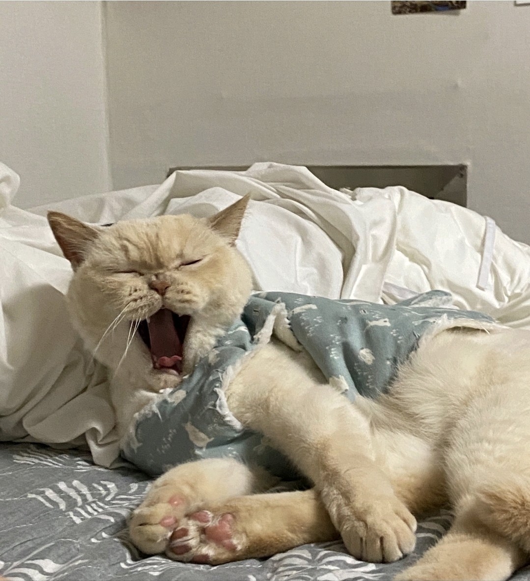 드디어 마지막 정리🤸‍♀️