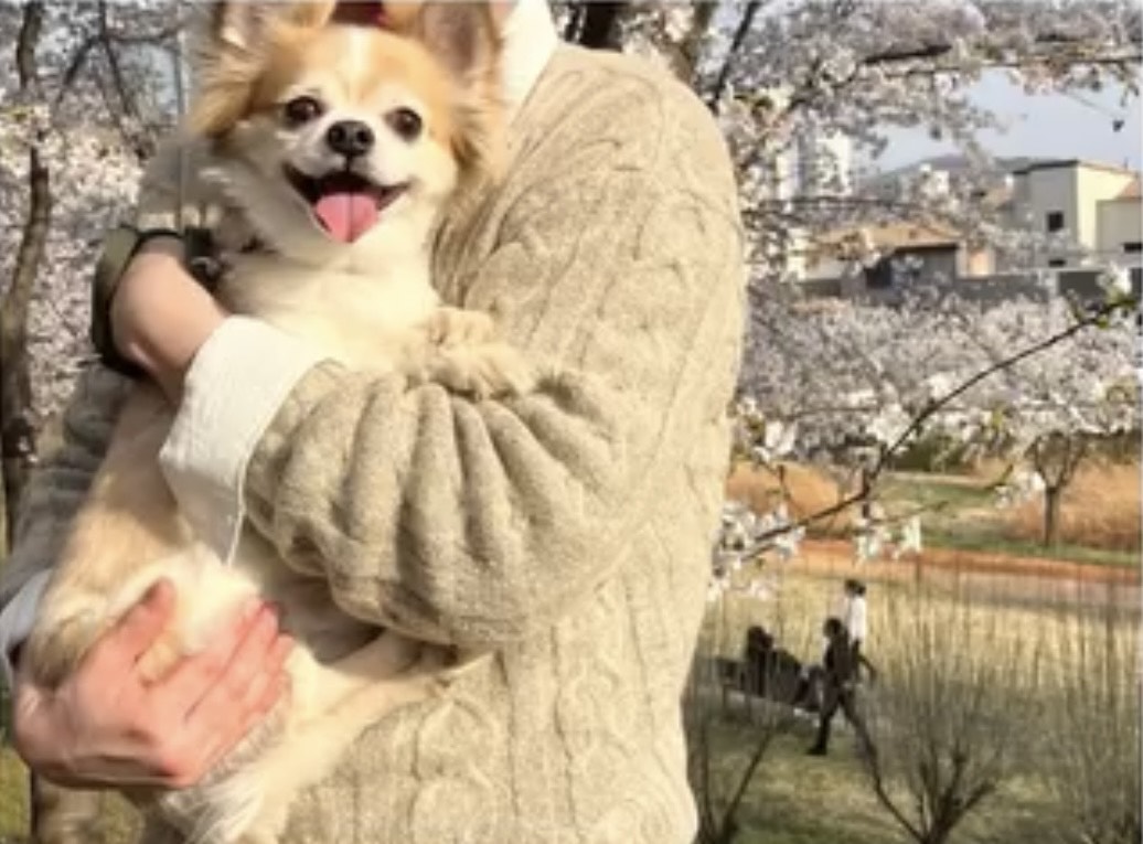 간판없음