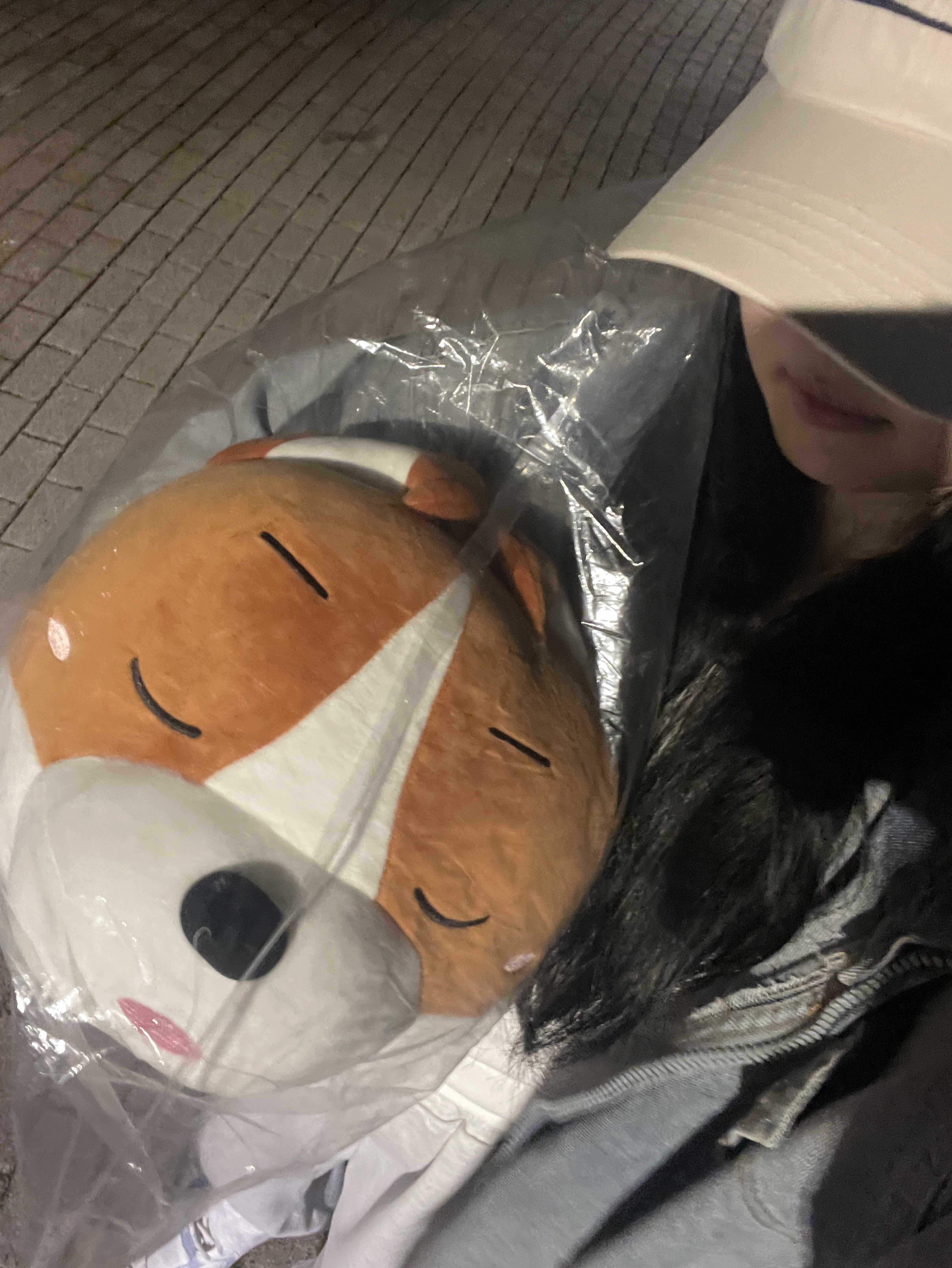 # 레전드 잠방 ♥